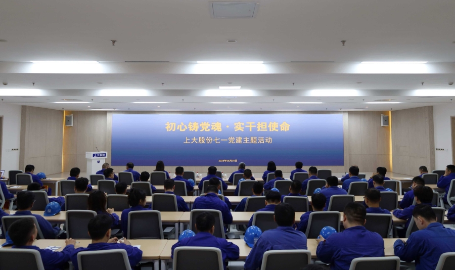 初心筑党魂  实干担使命——七一党建主题活动